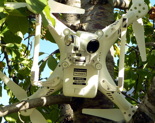 Drone crashed and stuck in tree